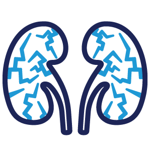 Chronic Kidney Disease Icon