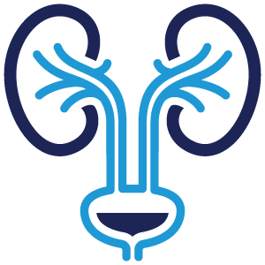 Urinary Tract Infection Icon