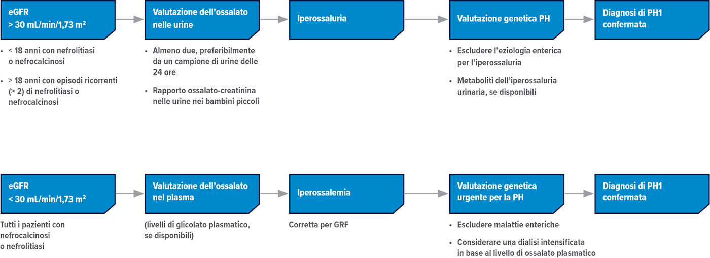 Diagramma della diagnosi di PH1